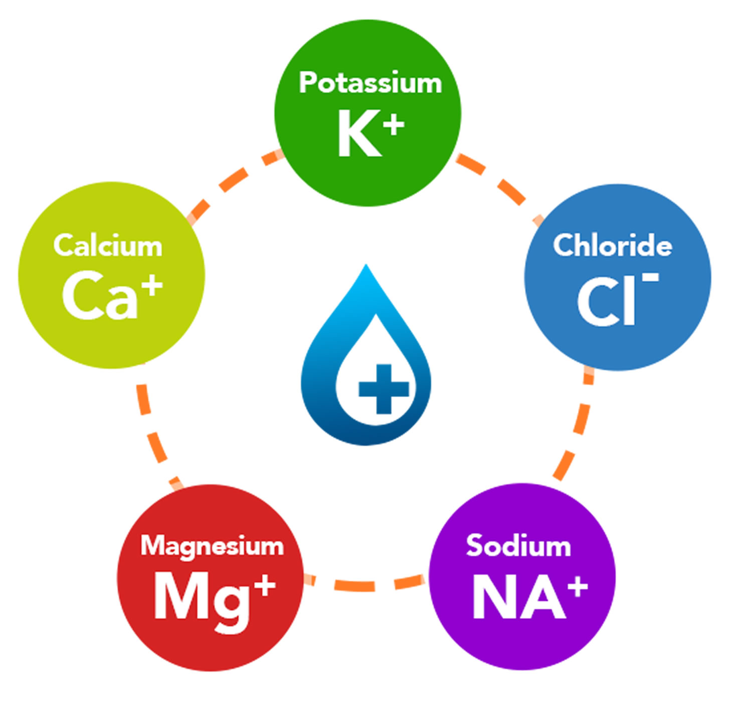 What are electrolytes? Ozzie Small