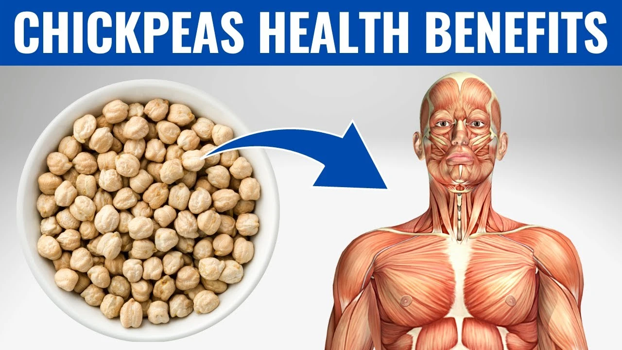 Health Benefits of Garbanzo Beans Ozzie Small